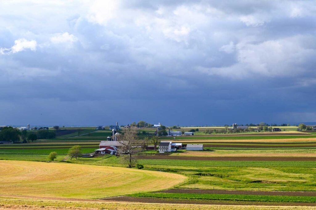 Farms and acreage in Locust, NC | Kathy Shaffer Real Estate