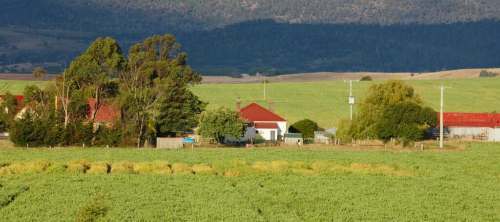 Farms and acreage in Locust, NC | Kathy Shaffer Real Estate